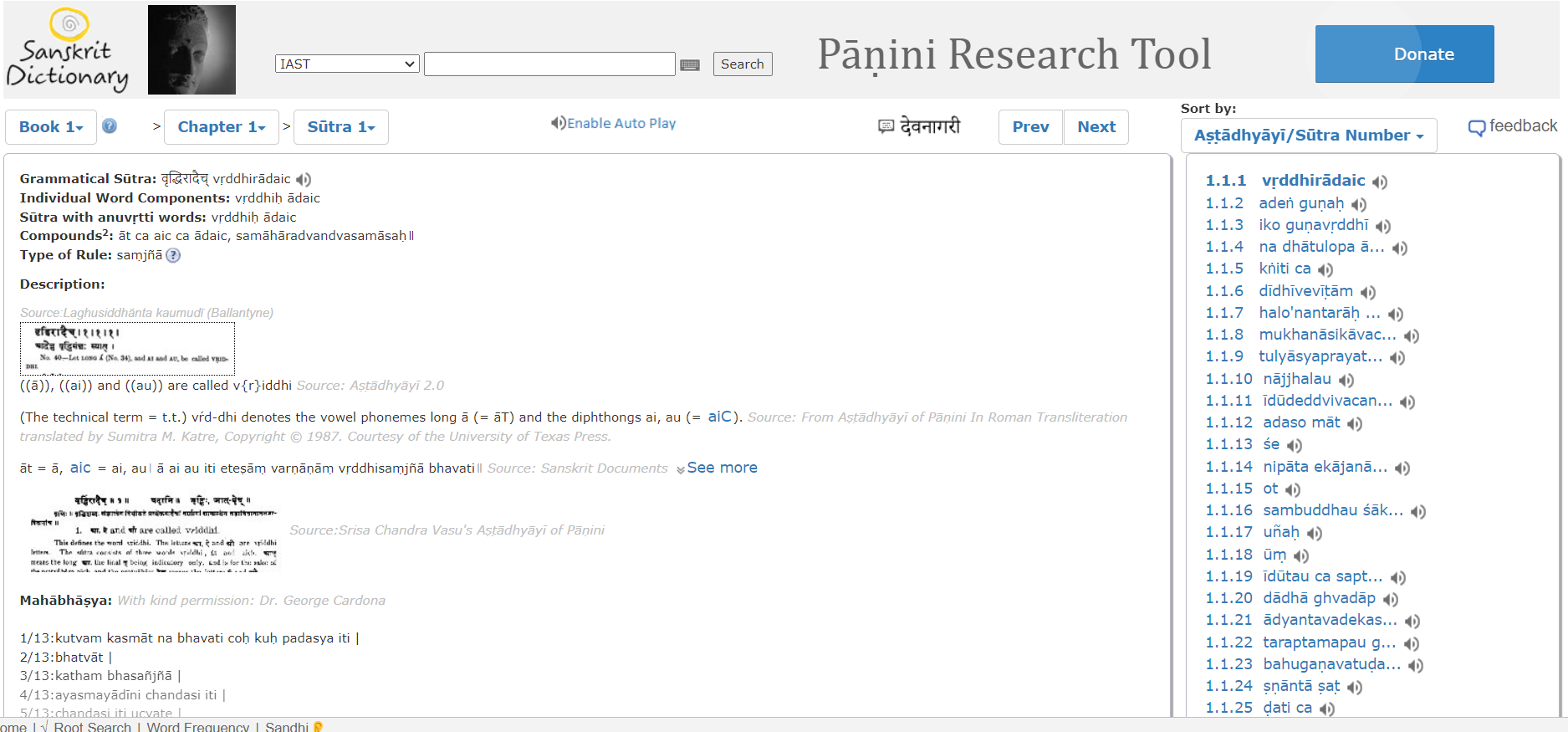 word_analysis_panini_research_tool.png